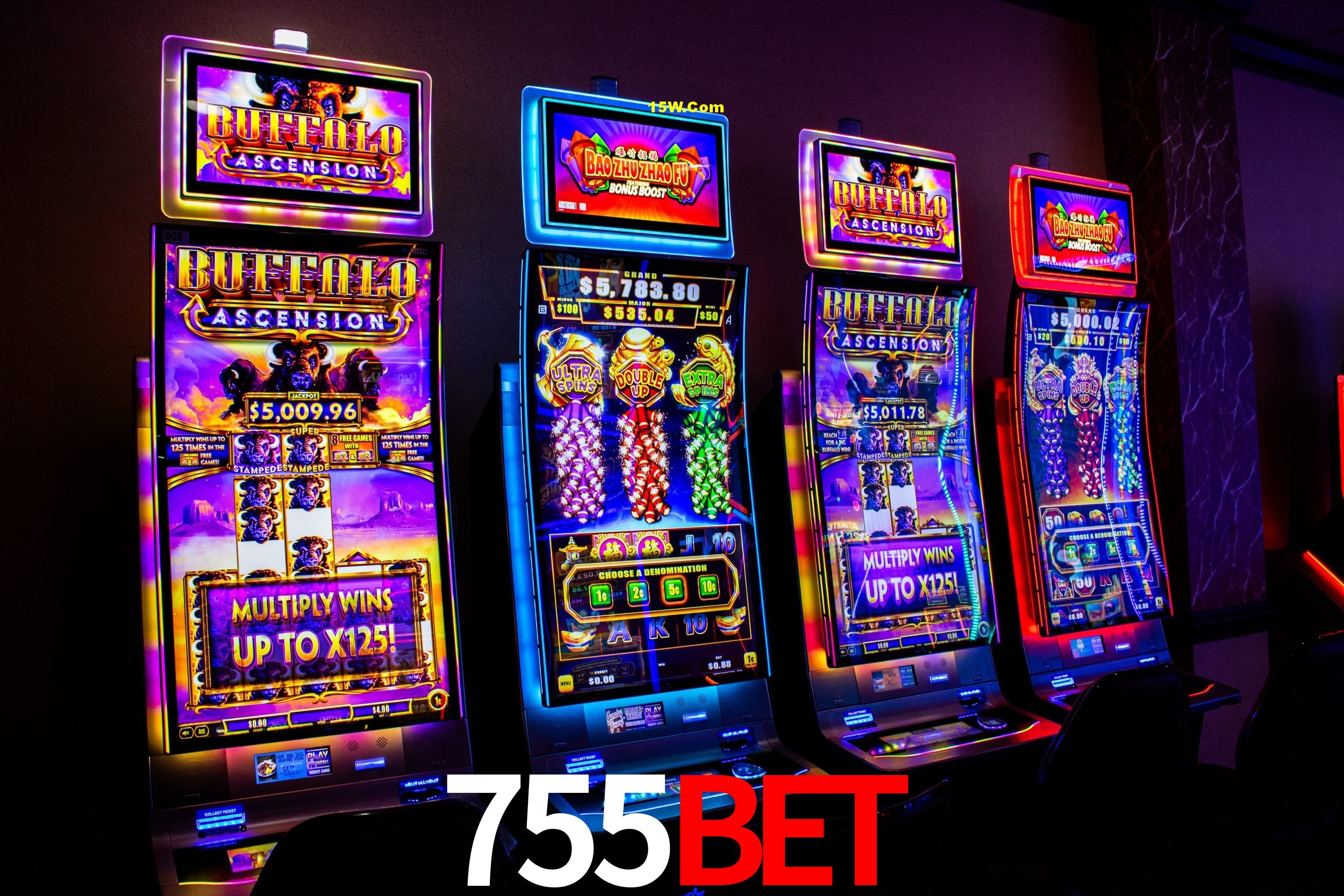 Experiência VIP 755Bet